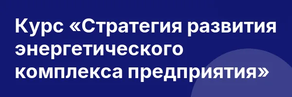 Курс «Стратегия развития энергетического комплекса предприятия»