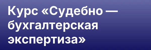 Курс «Судебно — бухгалтерская экспертиза»