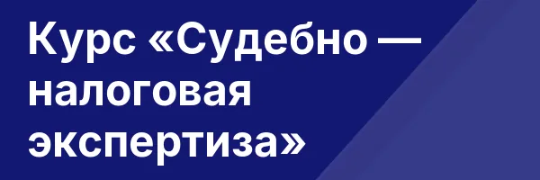 Курс «Судебно — налоговая экспертиза»