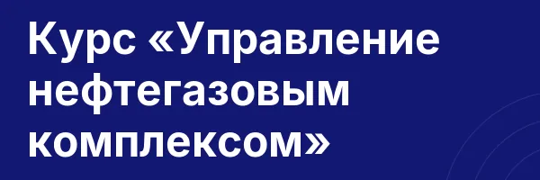 Курс «Управление нефтегазовым комплексом»