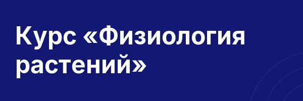 Курс «Физиология растений»
