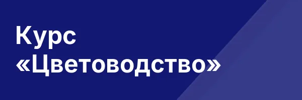 Курс «Цветоводство»