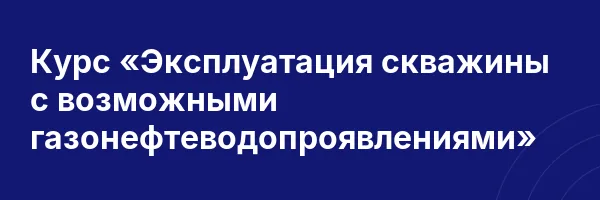 Курс «Эксплуатация скважины с возможными газонефтеводопроявлениями»