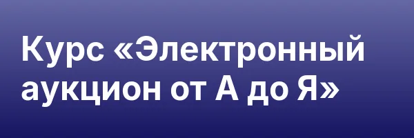 Курс «Электронный аукцион от А до Я»