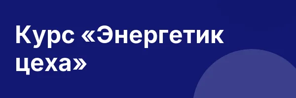 Курс «Энергетик цеха»