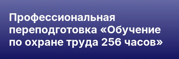 Профессиональная переподготовка «Обучение по охране труда 256 часов»