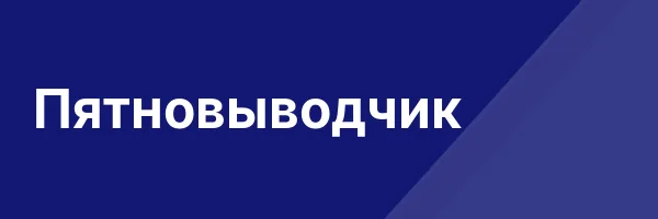Пятновыводчик
