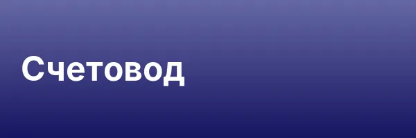 Счетовод