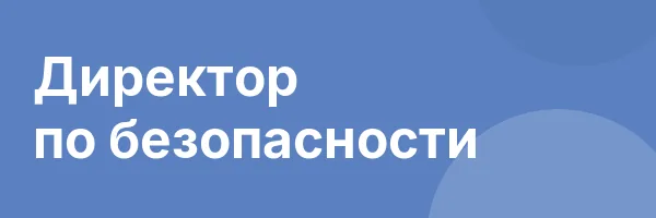 Директор по безопасности