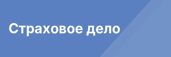 Страховое дело
