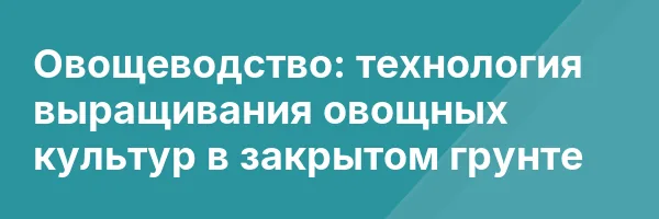 Овощеводство: технология выращивания овощных культур в закрытом грунте