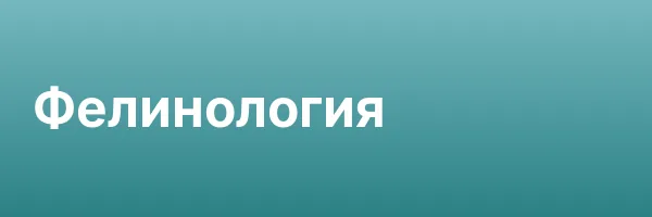 Фелинология