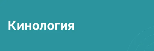 Кинология