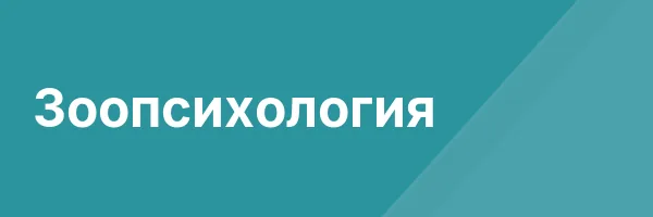 Зоопсихология