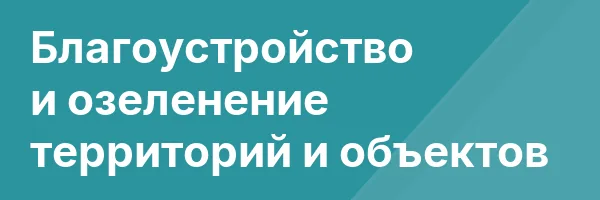 Благоустройство и озеленение территорий и объектов