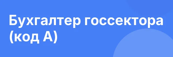 Бухгалтер госсектора (код А)