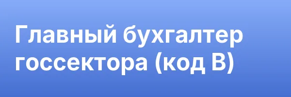 Главный бухгалтер госсектора (код В)