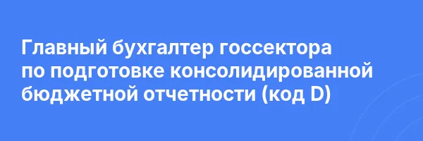 Главный бухгалтер госсектора по подготовке консолидированной бюджетной отчетности (код D)
