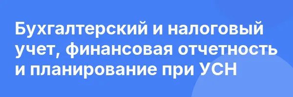 Бухгалтерский и налоговый учет, финансовая отчетность и планирование при УСН