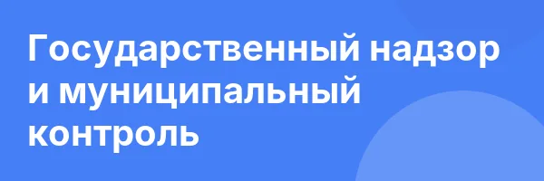 Государственный надзор и муниципальный контроль