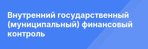 Внутренний государственный (муниципальный) финансовый контроль