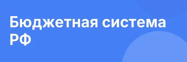 Бюджетная система РФ