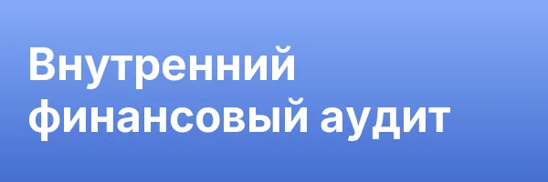 Внутренний финансовый аудит