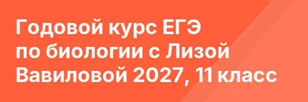 Годовой курс ЕГЭ по биологии с Лизой Вавиловой 2027, 11 класс