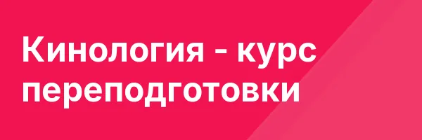 Кинология — курс переподготовки