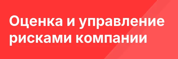 Оценка и управление рисками компании