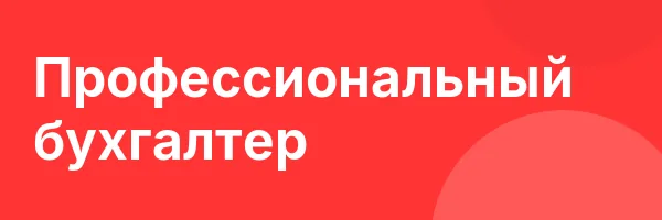 Профессиональный бухгалтер