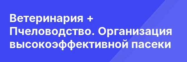 Ветеринария + Пчеловодство. Организация высокоэффективной пасеки