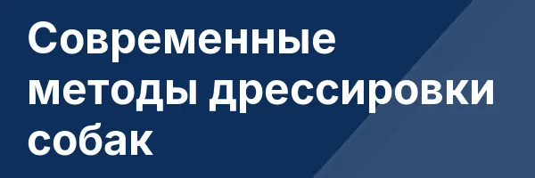 Современные методы дрессировки собак