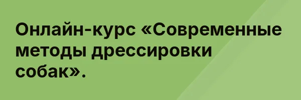 Онлайн-курс «Современные методы дрессировки собак».