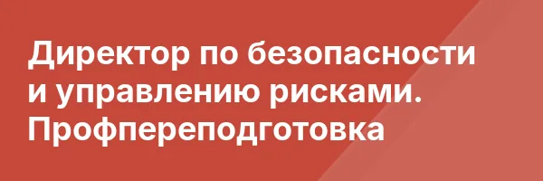 Директор по безопасности и управлению рисками. Профпереподготовка