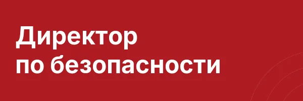 Директор по безопасности