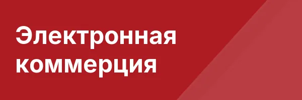 Электронная коммерция