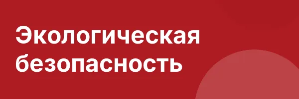 Экологическая безопасность