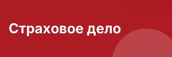 Страховое дело