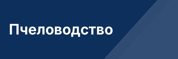 Пчеловодство