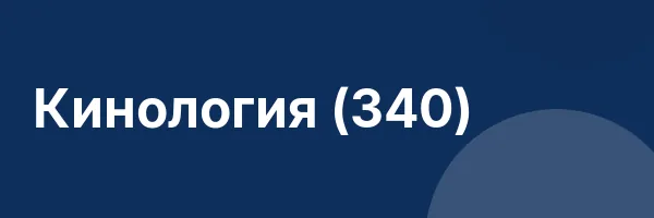 Кинология (340)