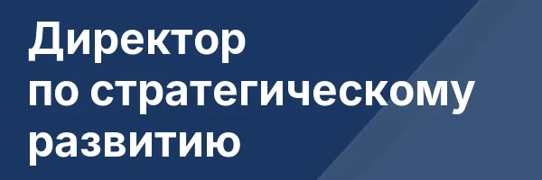 Директор по стратегическому развитию