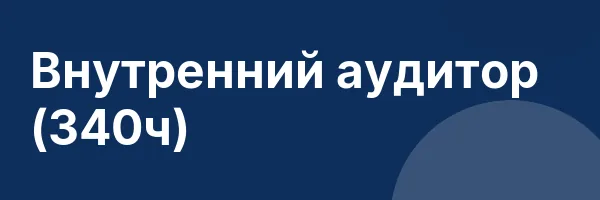 Внутренний аудитор (340ч)