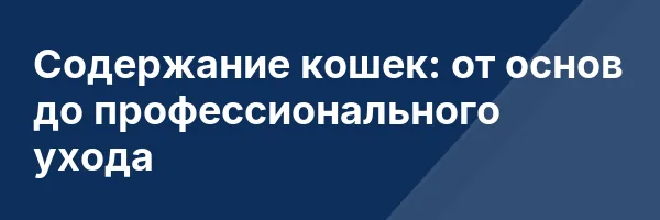 Содержание кошек: от основ до профессионального ухода
