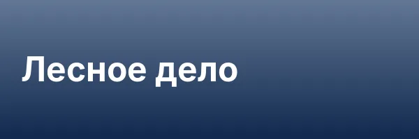 Лесное дело