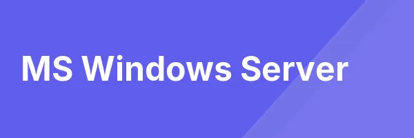 MS Windows Server