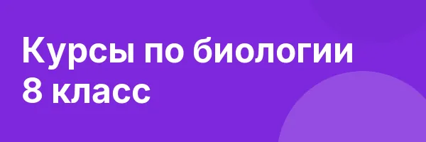 Курсы по биологии 8 класс
