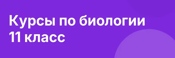 Курсы по биологии 11 класс