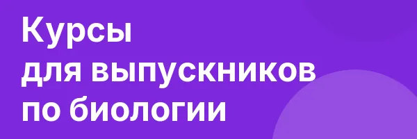 Курсы для выпускников по биологии