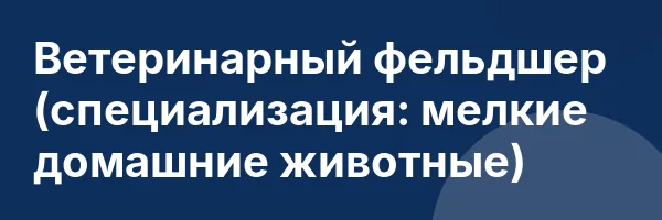 Ветеринарный фельдшер (специализация: мелкие домашние животные)
